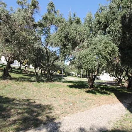 North * リスボン